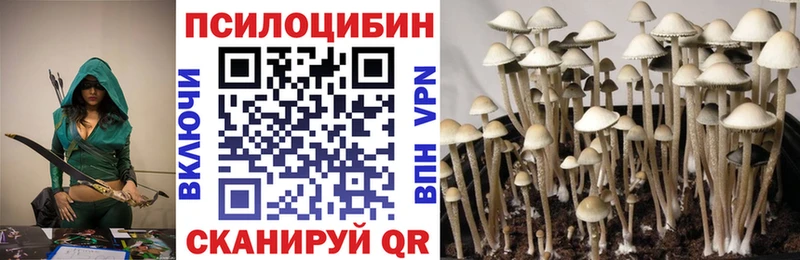наркошоп  Ноябрьск  Псилоцибиновые грибы мухоморы 